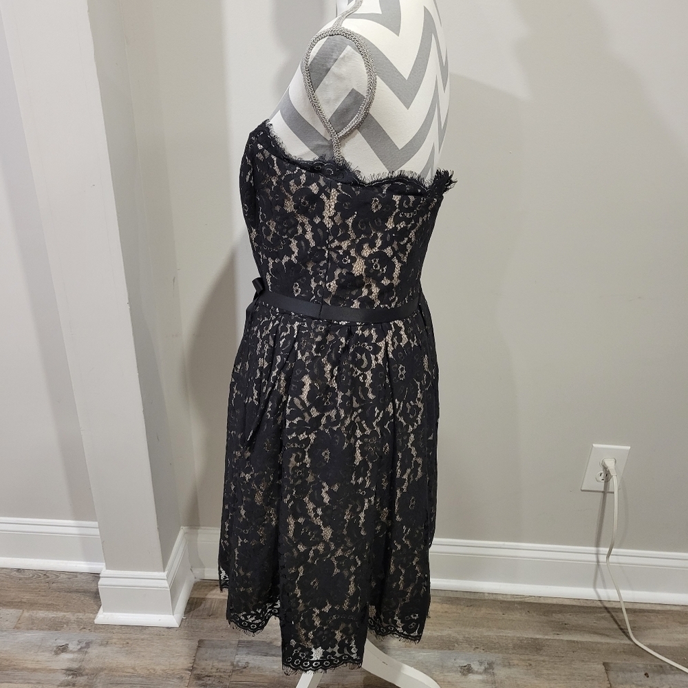 Robert Rodriguez Fit & Flare Lace Dress SZ 10 - Picture 5 of 6